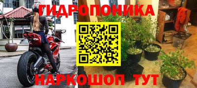 PSILOCYBIN Пугачёв