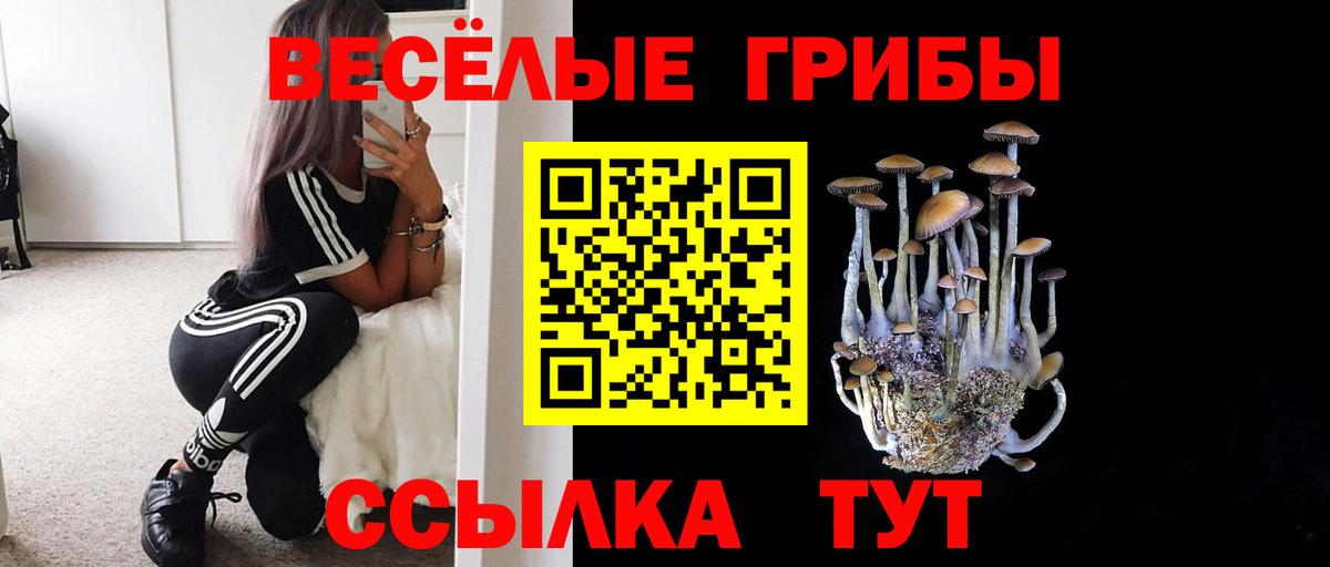 Галлюциногенные грибы GOLDEN TEACHER  Вход с VPN  Сальск 